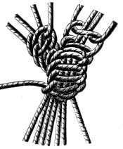 FIG. 592. LARGE SHELL KNOT, SHUT.